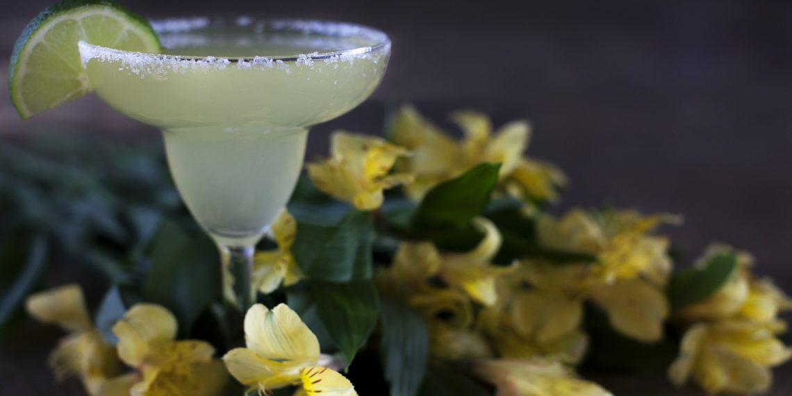 Un concurso para encontrar  la margarita perfecta