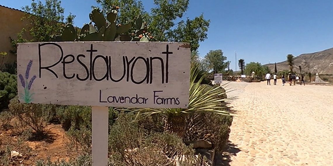 Un rancho donde la comida sabe a lavanda