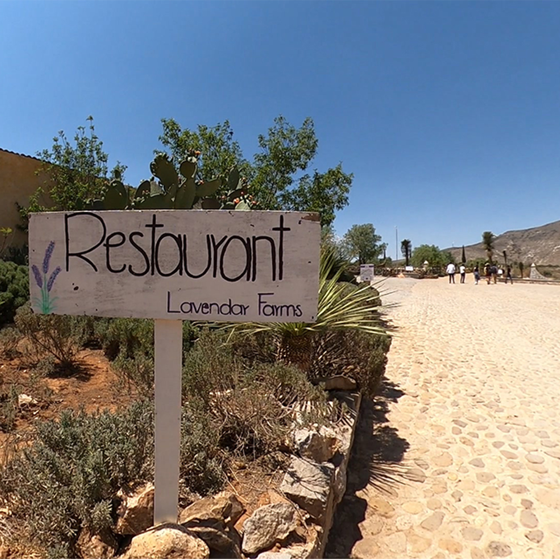 Un rancho donde la comida sabe a lavanda