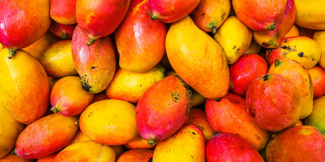 La historia del mango más caro del mundo