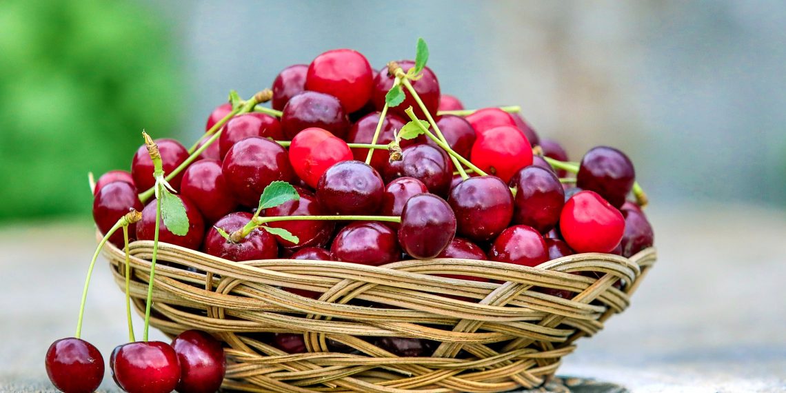 Por qué y cómo comer cerezas