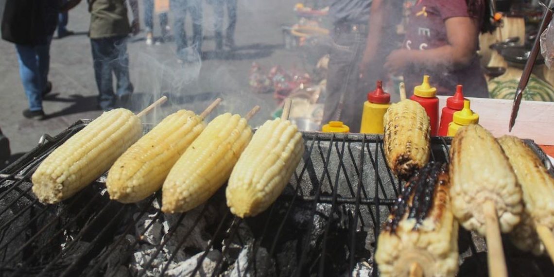 La mejor temporada para comer elote cacahuazintle