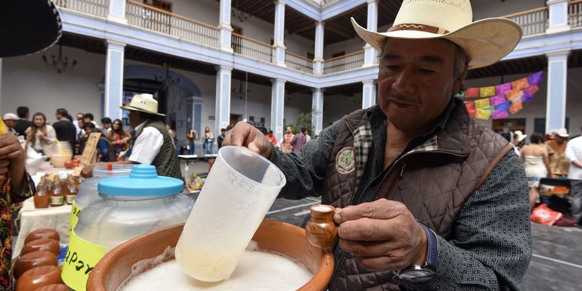 El pulque, el elixir bendecido que activa los sentidos