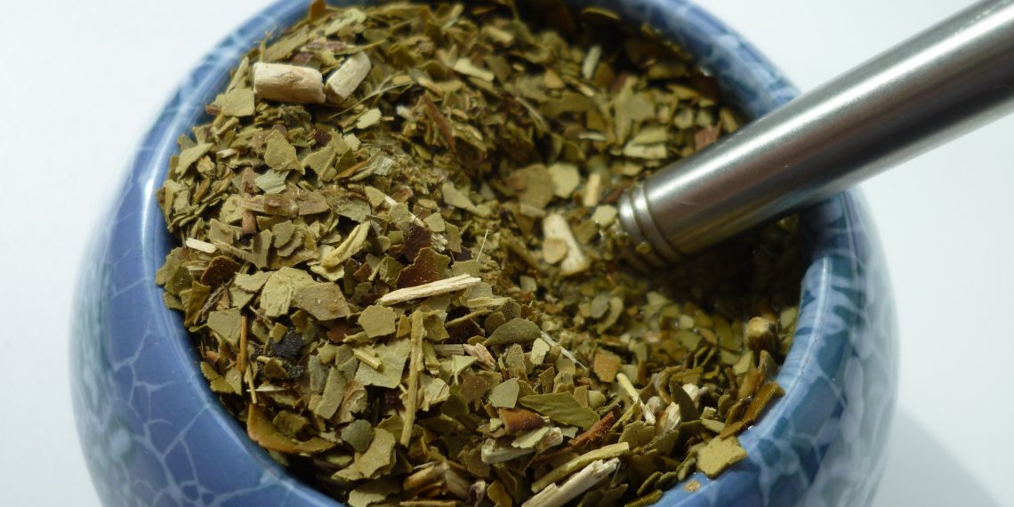 Lo energizante de la yerba mate