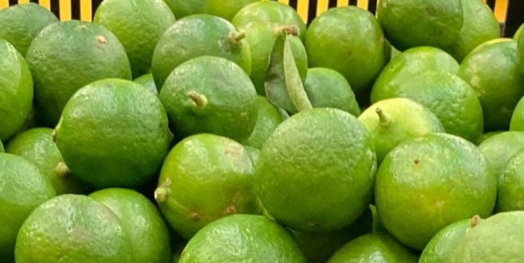 ¿El limón está muy caro? Puedes sustituirlo con estos ingredientes