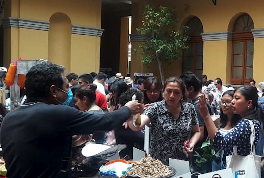 El Festival del Chocolate y el Café llega a la zona de los volcanes