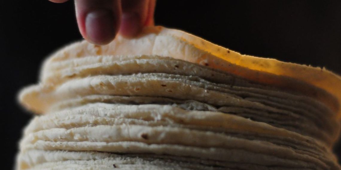 ¡Por fin! La tortilla será regulada para más calidad