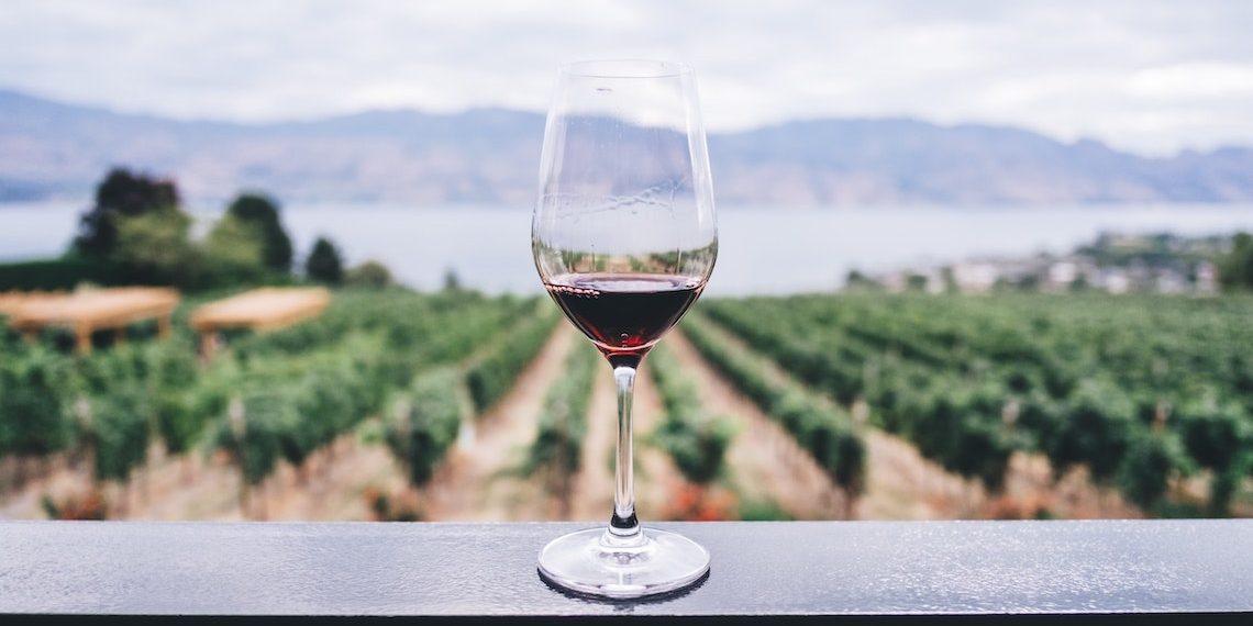 Entre uvas y taninos: ¿Por qué tener una columna sobre vino?
