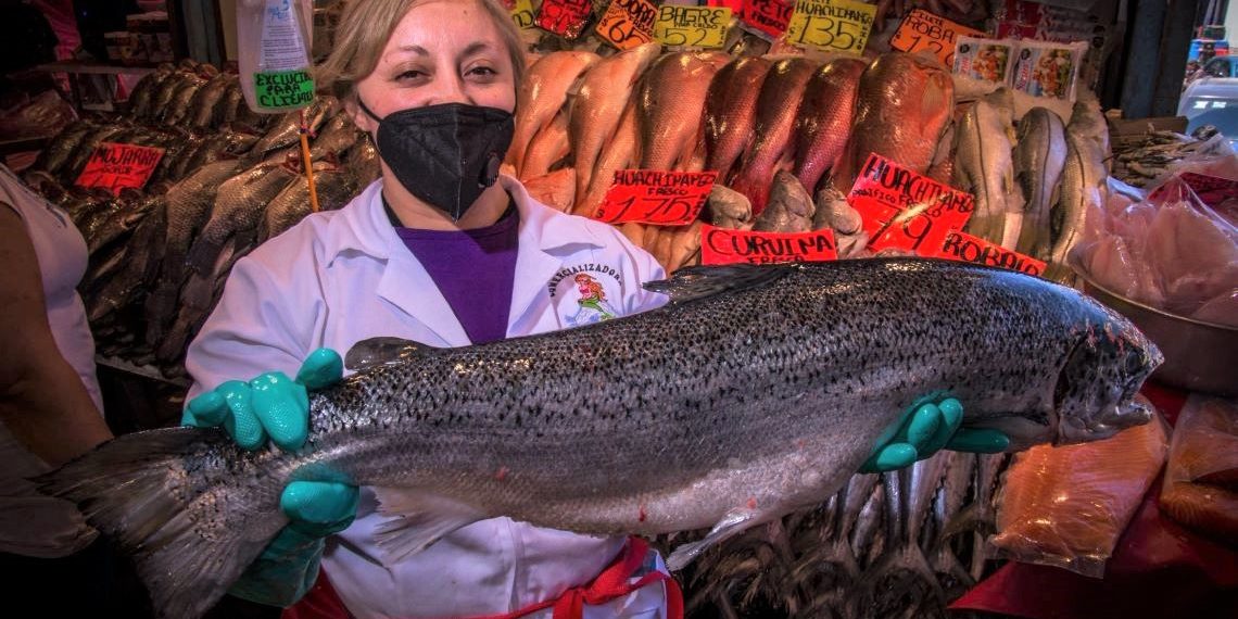 De los ojos a la cola: Cómo saber si el pescado es fresco