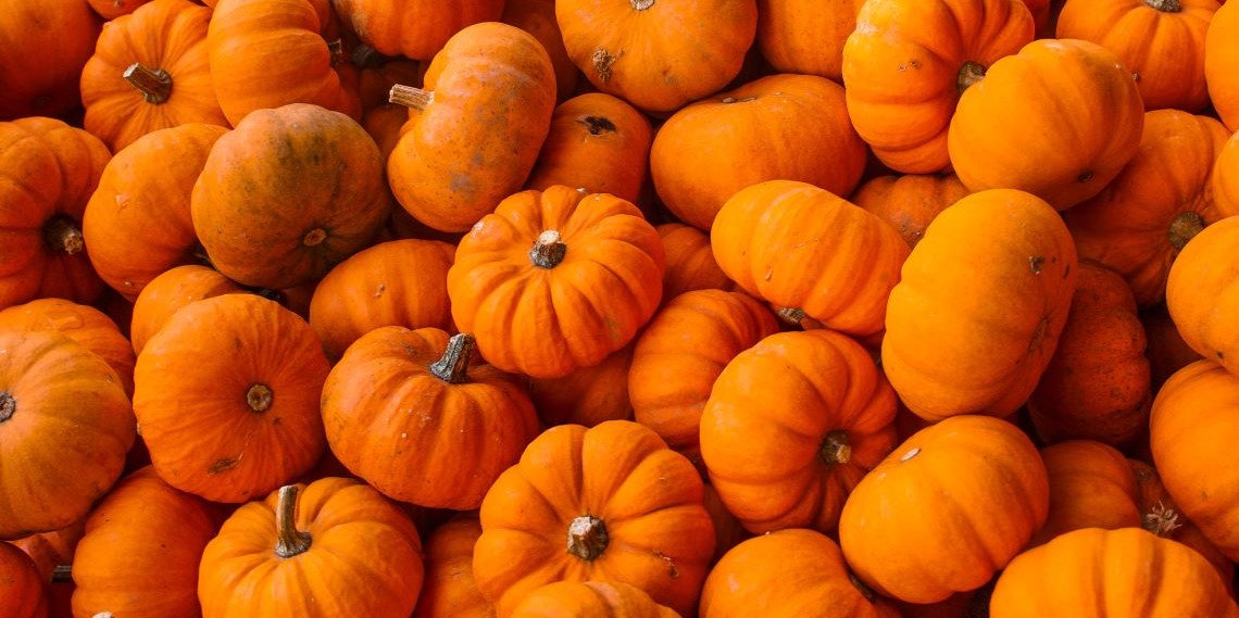 ¡Sácale provecho a la calabaza! Prepárala en agua fría o cliente