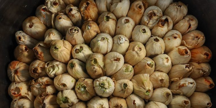 Rituales para que los tamales queden ricos