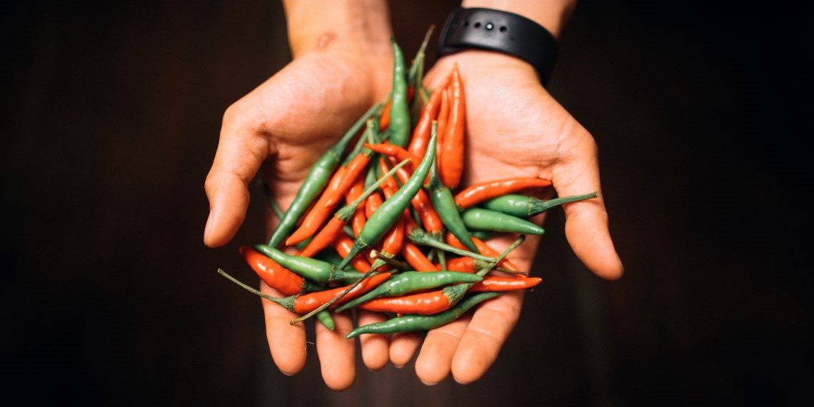 Conoce los usos medicinales de los chiles mexicanos domesticados