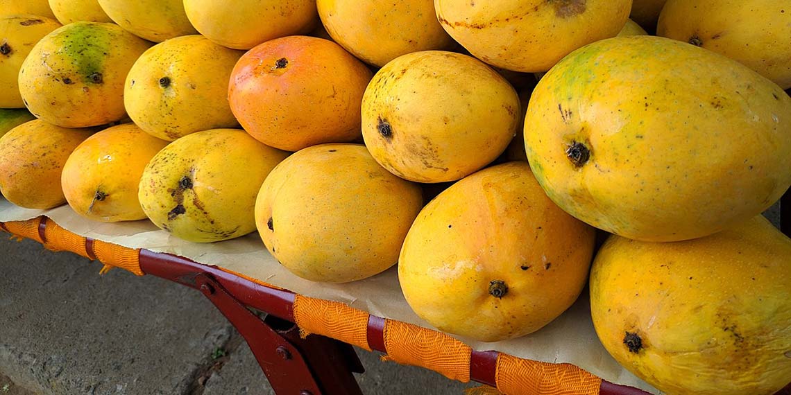 ¿Cómo escoger los mangos más jugosos?