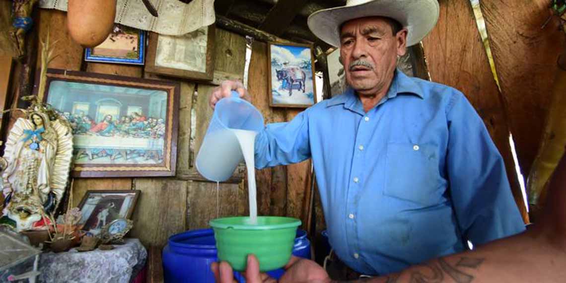 Cuando no hay luciérnagas, hay pulque en Nanacamilpa