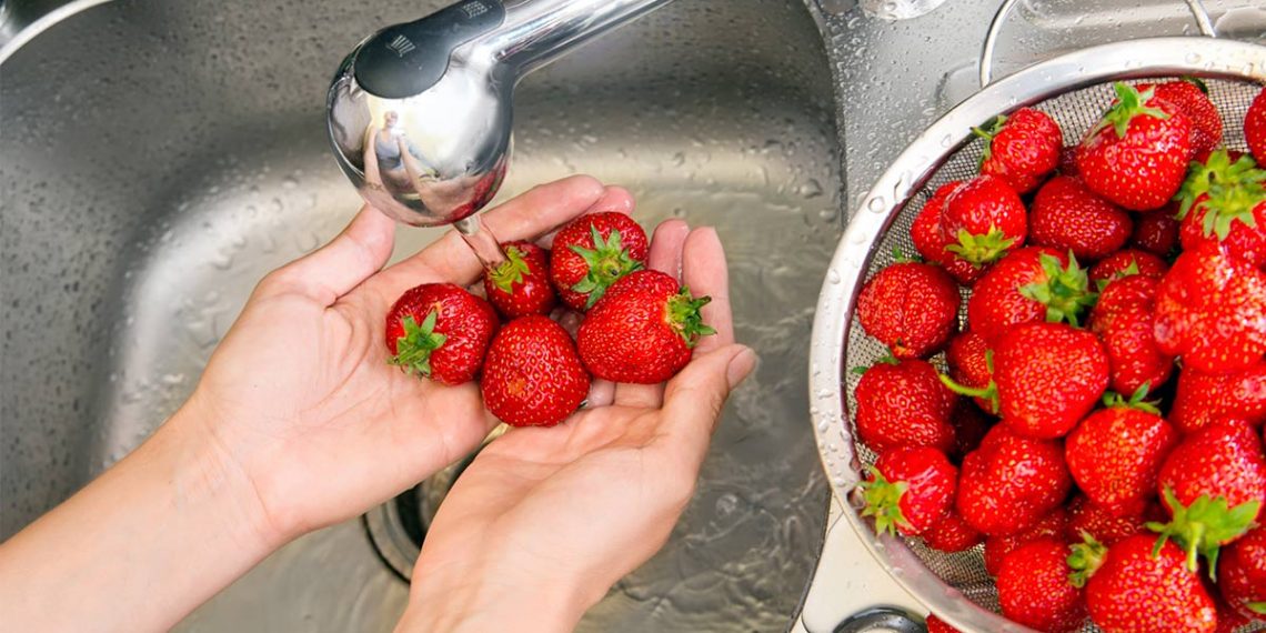 Fresas sin riesgos: Te decimos cómo desinfectar