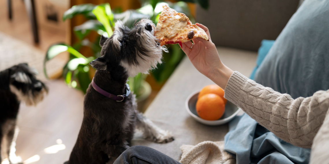 Restaurantes pet friendly  para celebrar a tu perrito