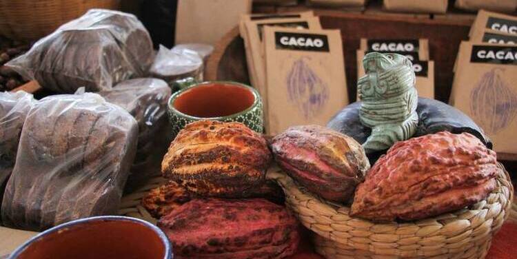 ¡Festival de chocolate y  pan de muerto a la vista!