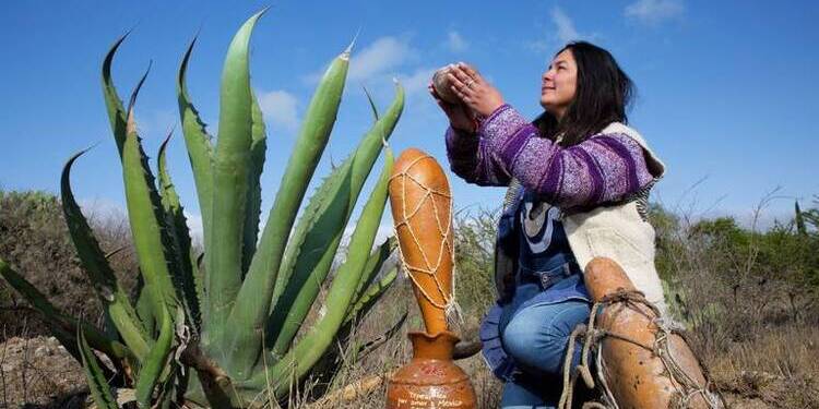 Festival del pulque, te decimos cuándo y dónde