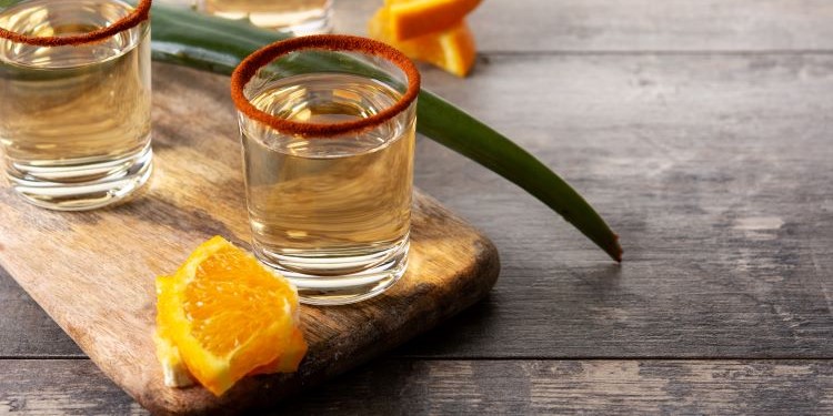 Mezcal de Edomex tendrá Denominación de Origen