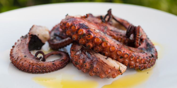 Cuál es la manera adecuada de cocinar pulpo