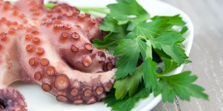 Tres recetas con pulpo como ingrediente estrella