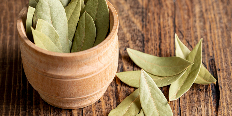 Un ritual para elegir el laurel con el que se cocina