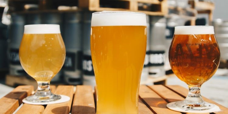 Guía cervecera: Estos son los estilos que existen