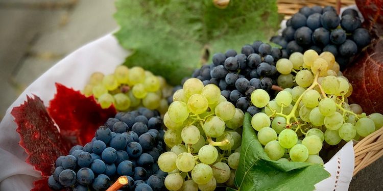 Alimentos para sustituir las uvas en Año Nuevo