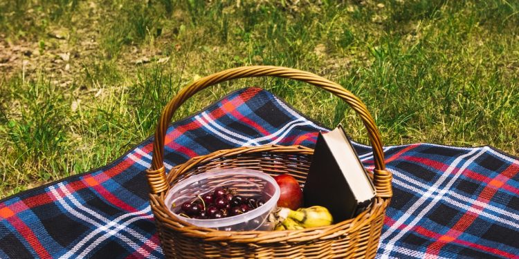 Dónde se pueden hacer picnic en Chapultepec (incluso con tu perrito)