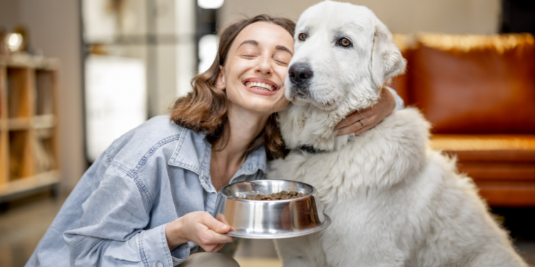 Por qué los perros siempre quieren tu comida, lo explica la ciencia