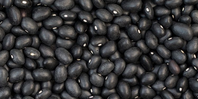 ¿Frijoles negros? Estos son sus beneficios