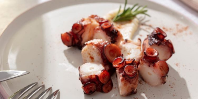 Para la Cuaresma: Prepara un delicioso y nutritivo pulpo