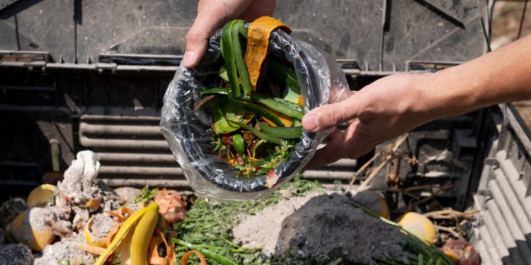 Comida que sobra en los mercados, ¿por qué no llega al banco de alimentos?