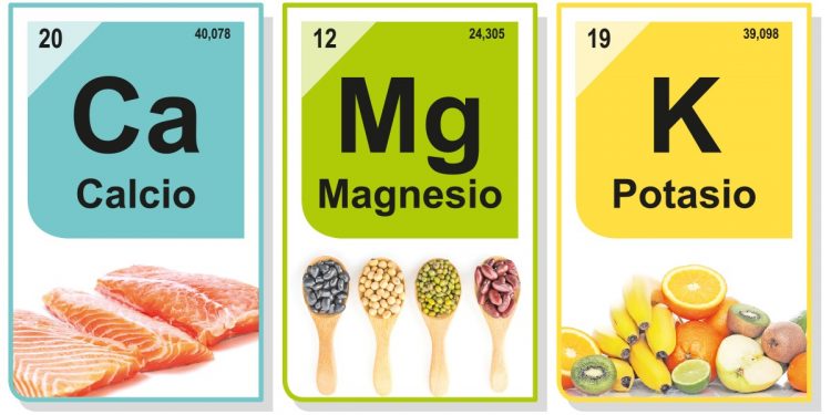 Ingredientes que te nutren por sus minerales