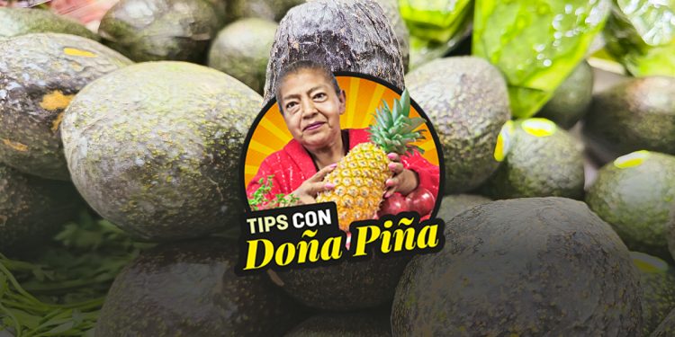 ¿Cómo elegir un buen aguacate en el mercado?