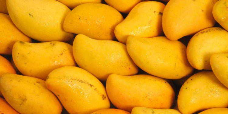 Aunque Ud no lo crea: La cáscara del mango tiene efecto cicatrizante