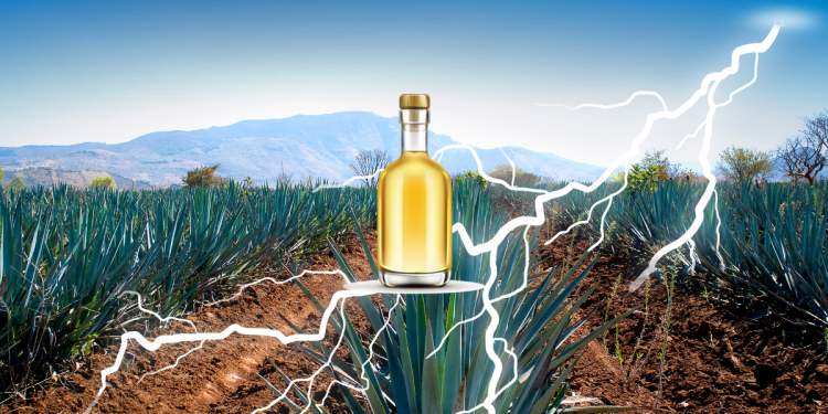 Día del Tequila: Qué tiene que ver origen con una tormenta eléctrica