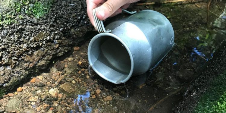 La importancia del agua en una taza de té