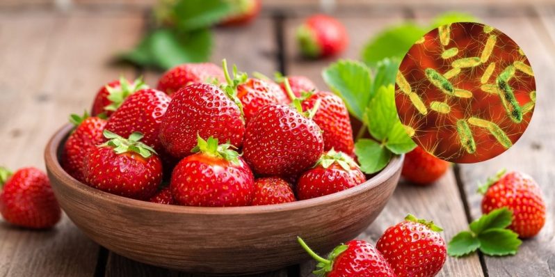 ¿Las fresas pueden tener salmonella? Descubre cómo cuidarte de ella