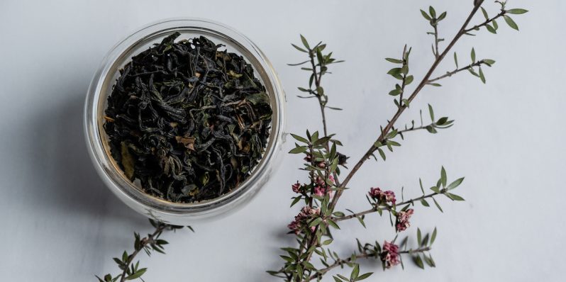 Conoce la historia del té negro japonés