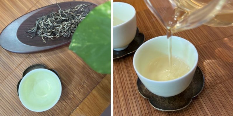 Todo lo que debes saber sobre el té amarillo