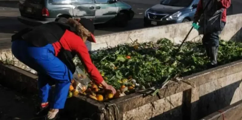 A dónde va la fruta y verdura que no se vende en la Central de Abastos