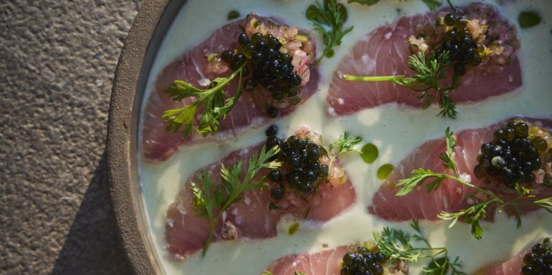 Del pápalo, al epazote, el poder de las hierbas en la gastronomía