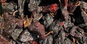 Cuál es el origen del chile chipotle y más sobre su maravillosa existencia