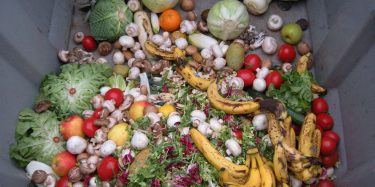 México tira toneladas de comida mientras un sector de su población sufre de hambre