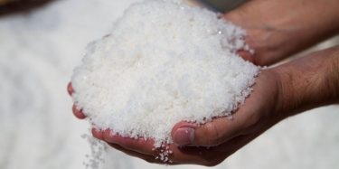 Flor de sal: el tesoro blanco de Colima que enriquece tu cocina y tu salud