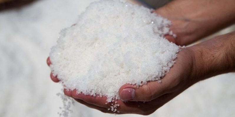 Flor de sal: el tesoro blanco de Colima que enriquece tu cocina y tu salud