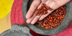 ¿Cuáles son los chiles más antiguos en México?