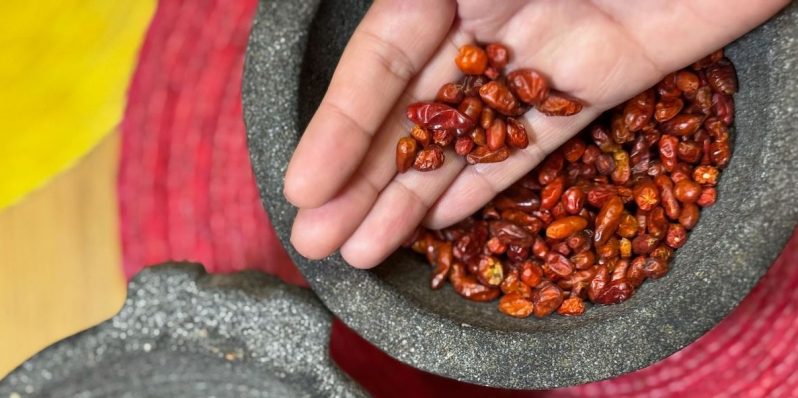 ¿Cuáles son los chiles más antiguos en México?
