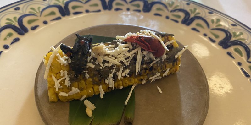 Puebla y Coyoacán unidos por bichos: Hay de aguachile con acocil a helado de cocopaches